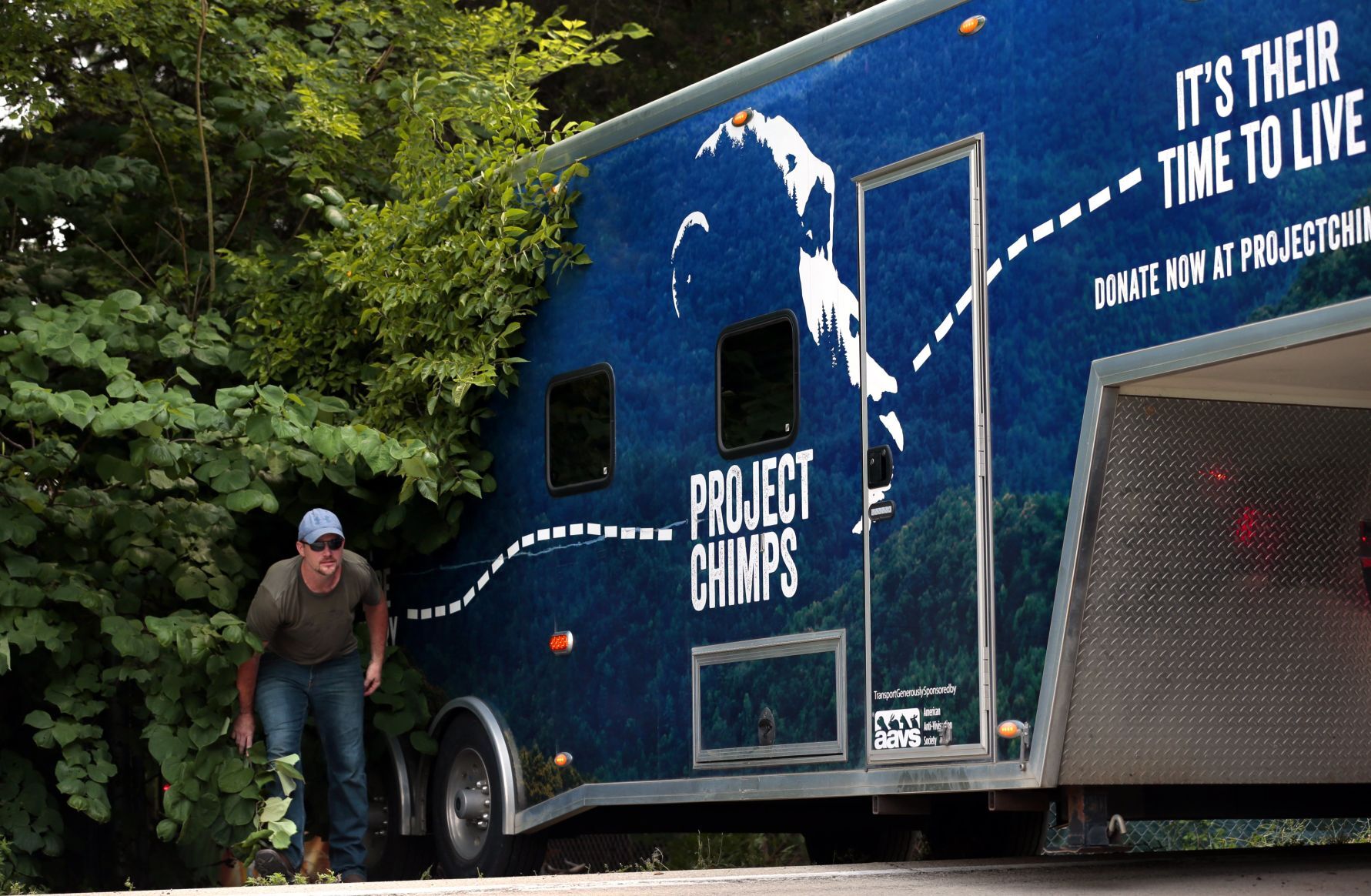 Chimpanzees moved out of the house of Festus